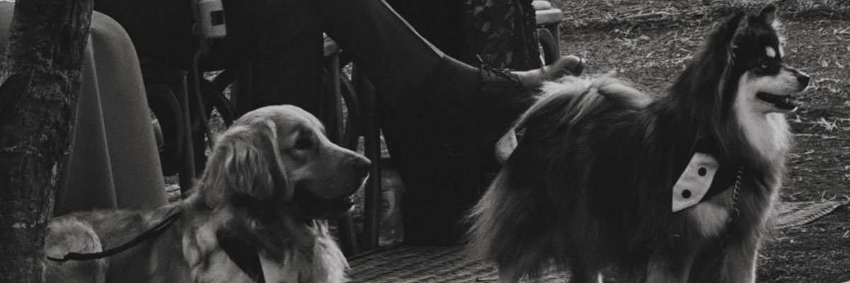 FerGdelCM's profile banner image