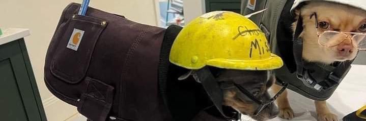 CarrilloMilton's profile banner image