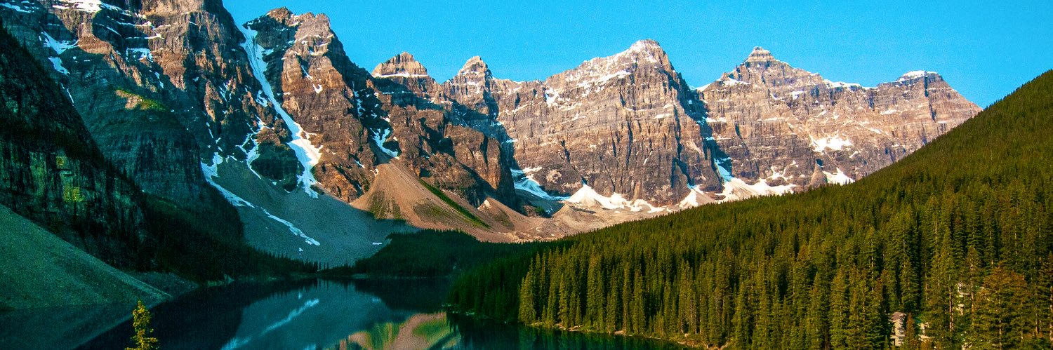 bubba gumpino banner