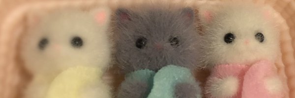 m_l_o_hey Profile Banner