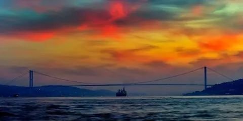 puyamgonul's profile banner image