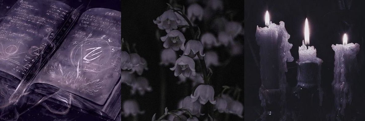 ⋆｡‧₊°♱༺𓆩❦︎𓆪༻♱༉‧₊˚. banner