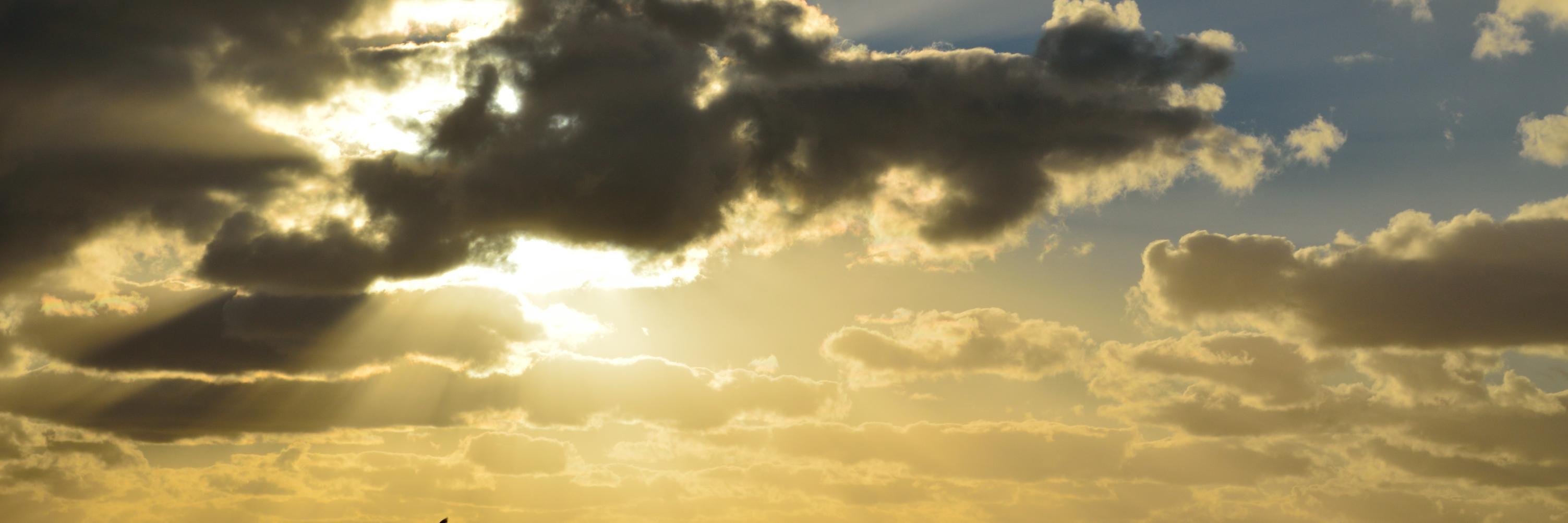 damianbont's profile banner image