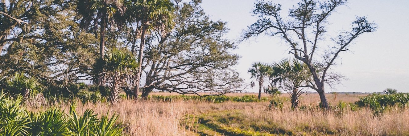 ronni2x's profile banner image
