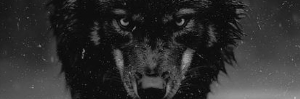 Luiisarojas's profile banner image