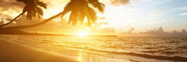 NetstrucLLC Profile Banner