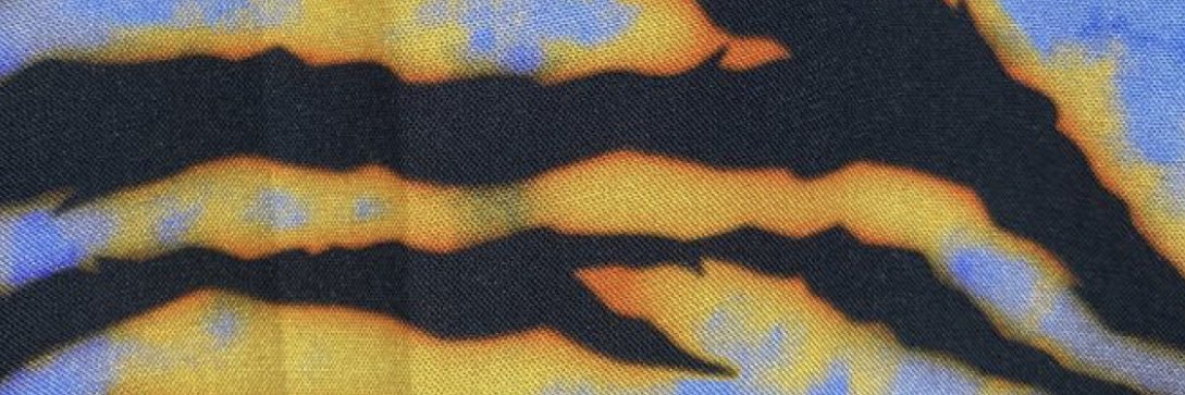 C0RC0R_'s profile banner image