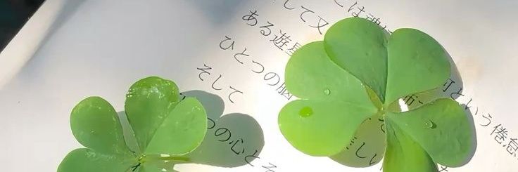 ° banner