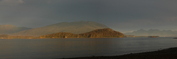 otanpenny Profile Banner