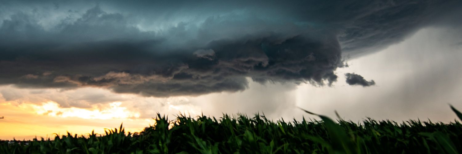 ferns1991's profile banner image
