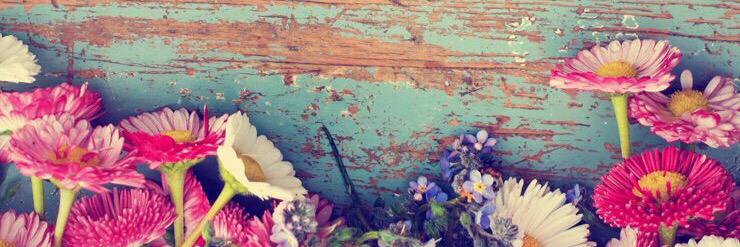 marebarquera's profile banner image