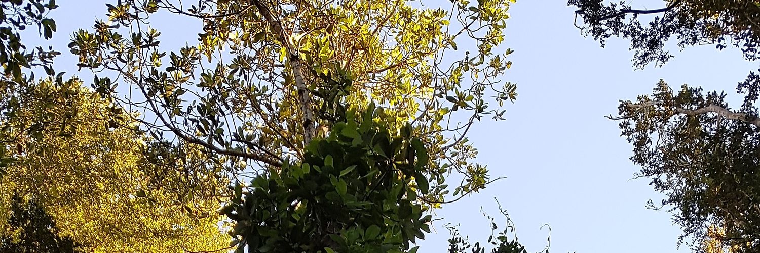 Andreaxmg's profile banner image