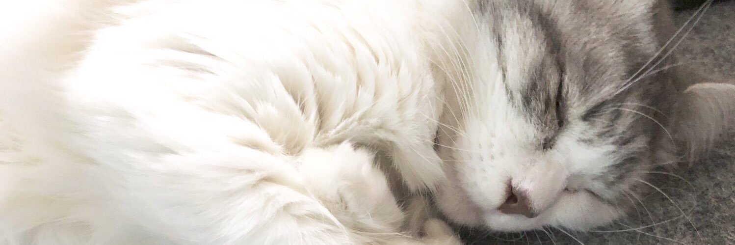 Full_Taro's profile banner image