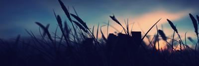 ArdKaw63596's profile banner image
