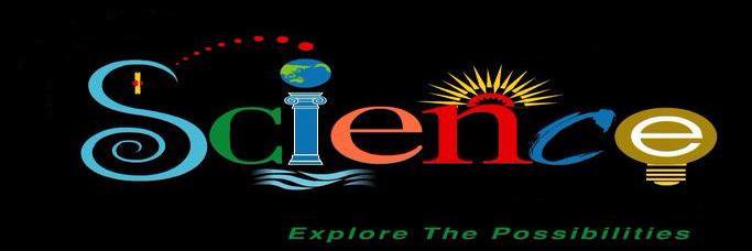 SciBlingsExpats banner