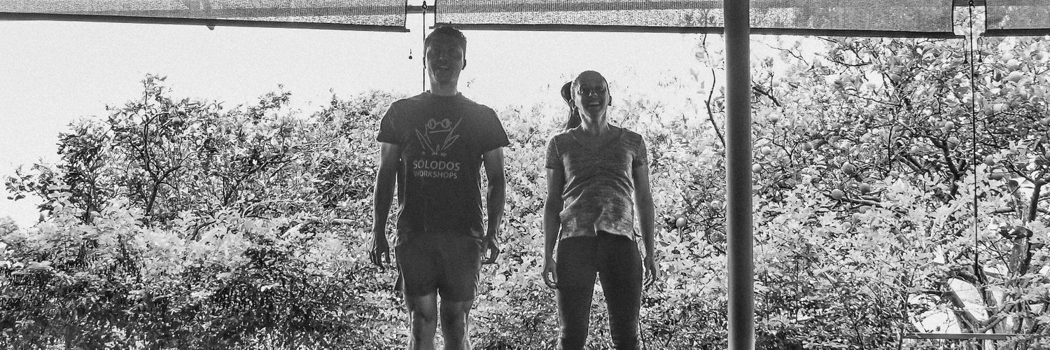 SOLODOSNeodans's profile banner image