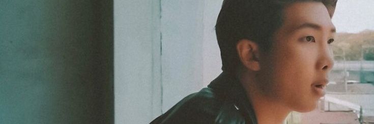 rosa agreste ♿️ banner