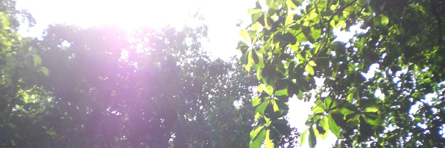 Fcsp26's profile banner image