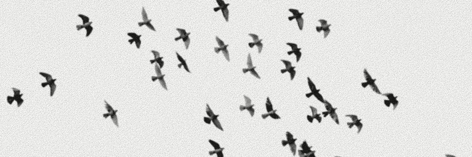 Reidar210's profile banner image