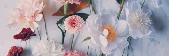 jessirenee's profile banner image