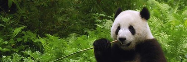 ifindkarma Profile Banner