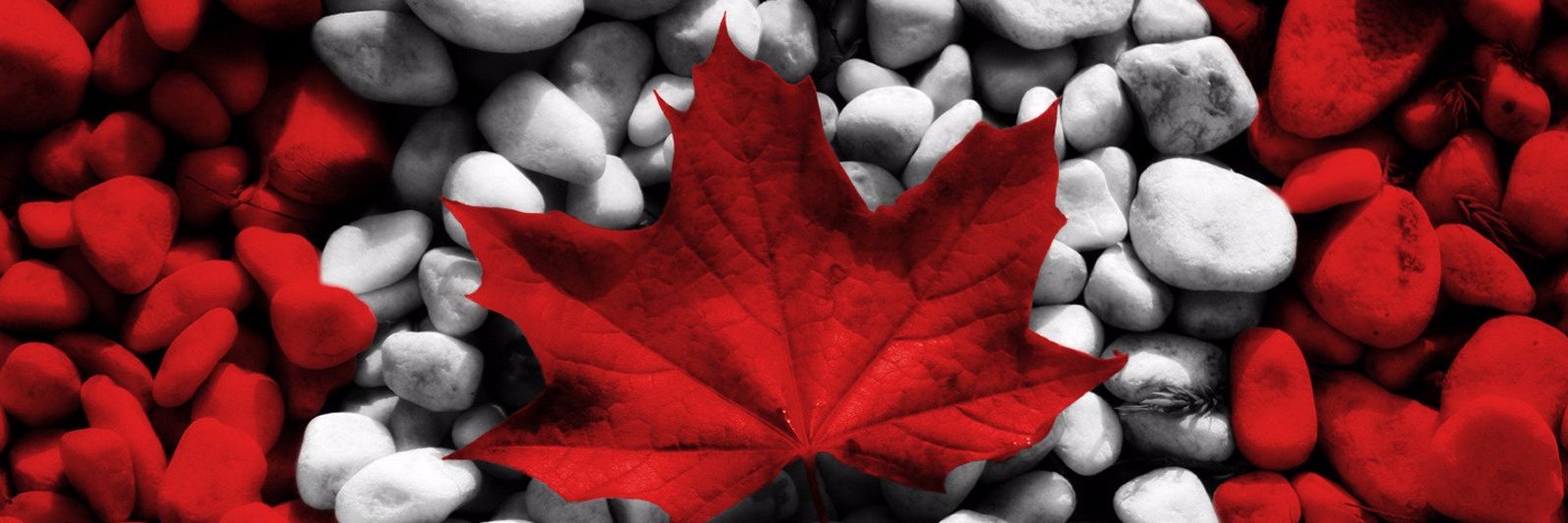 Kevin Peesker banner