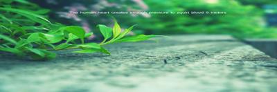KateLowe725323's profile banner image