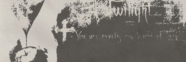 xäivi. banner