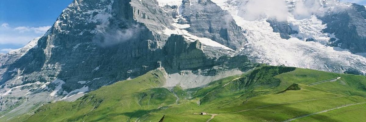 orkide_983's profile banner image