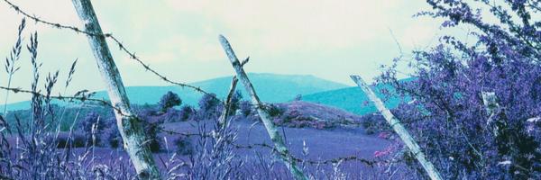 chas_holt Profile Banner