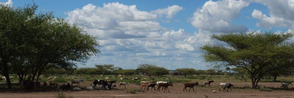OlivierSterck Profile Banner