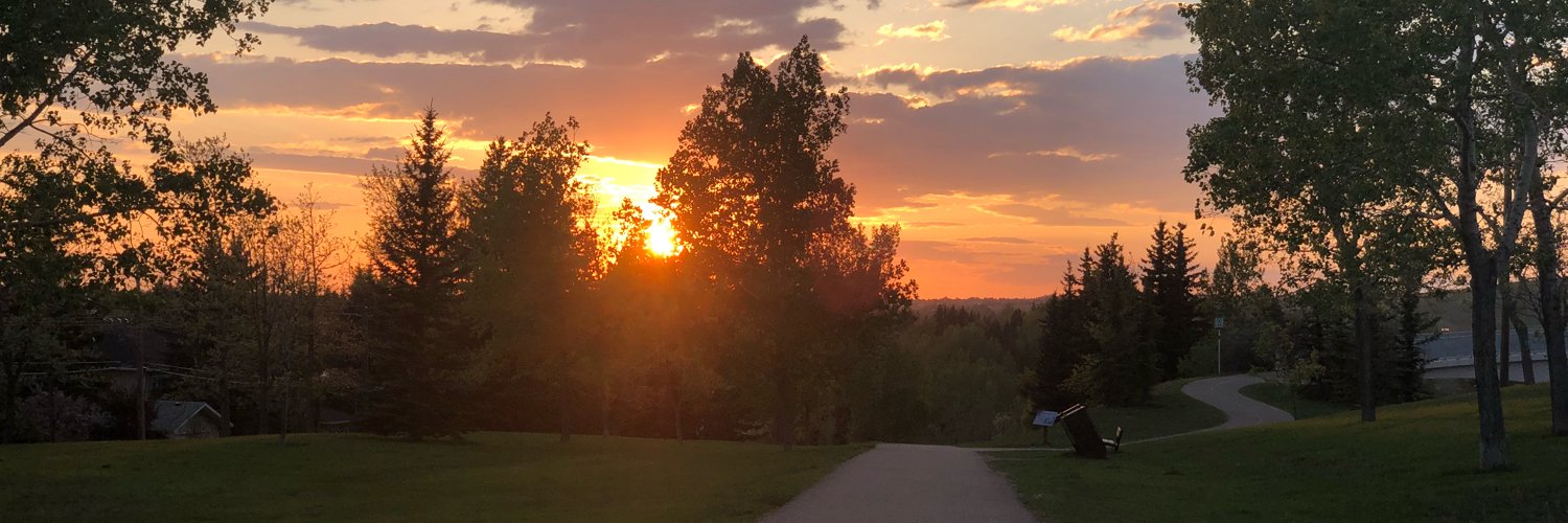 Dave Anderson banner