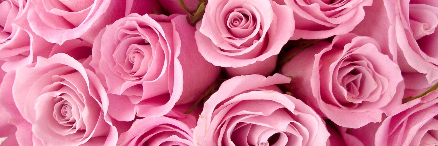LovelyLexieG's profile banner image