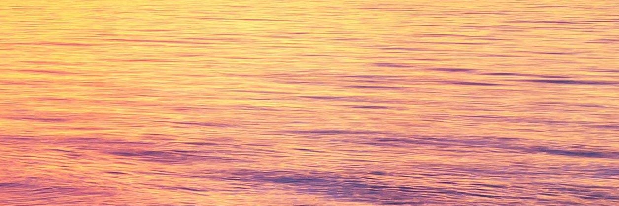 αmelie 🥀 banner