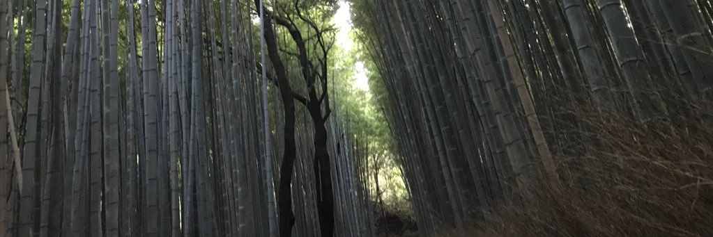 killiansasuke's profile banner image