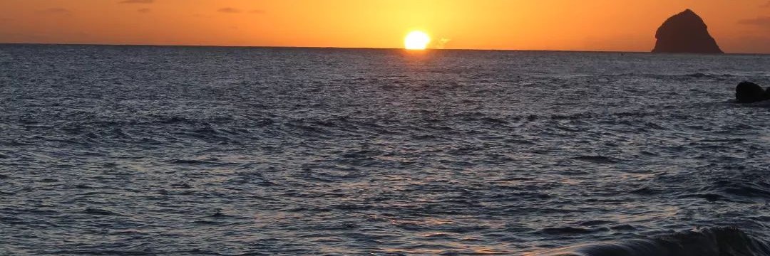 balou banner