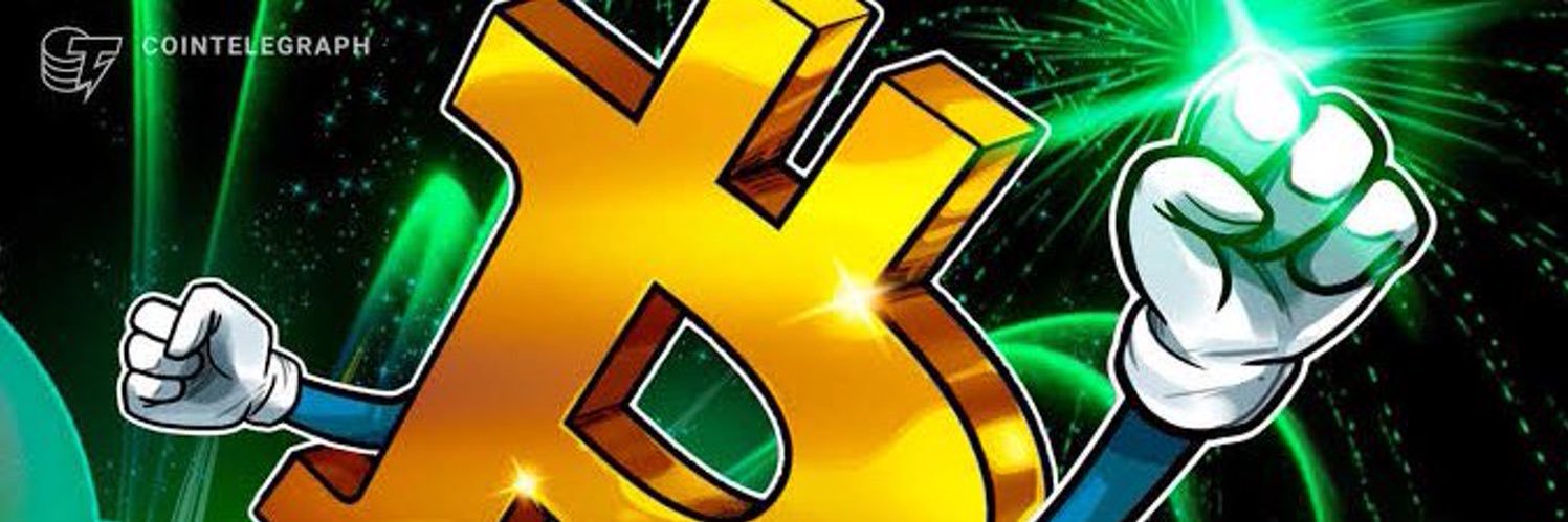Hailey fox banner