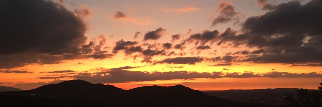 mindofsilvia_'s profile banner image
