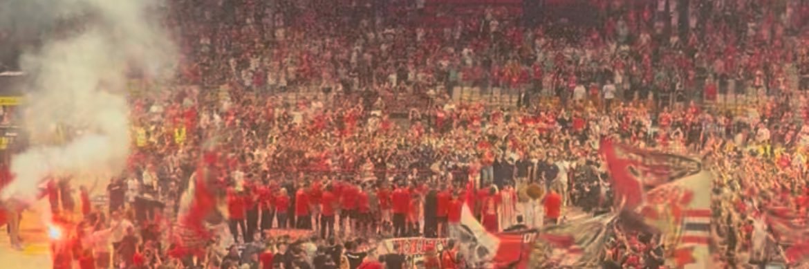 Taremienthusiast banner