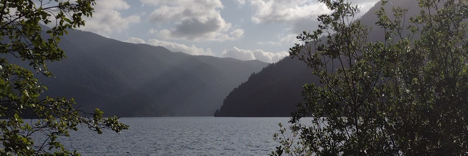 chillbillyJ-DVE banner