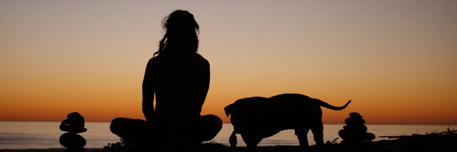 Bruce Venture banner