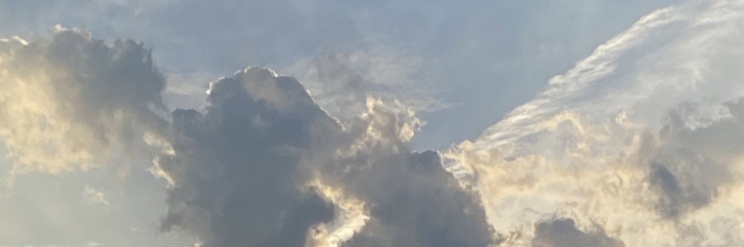 Jesus IS King banner