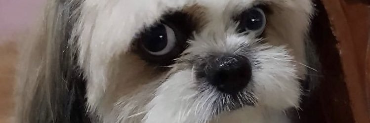 mtchllestphn's profile banner image