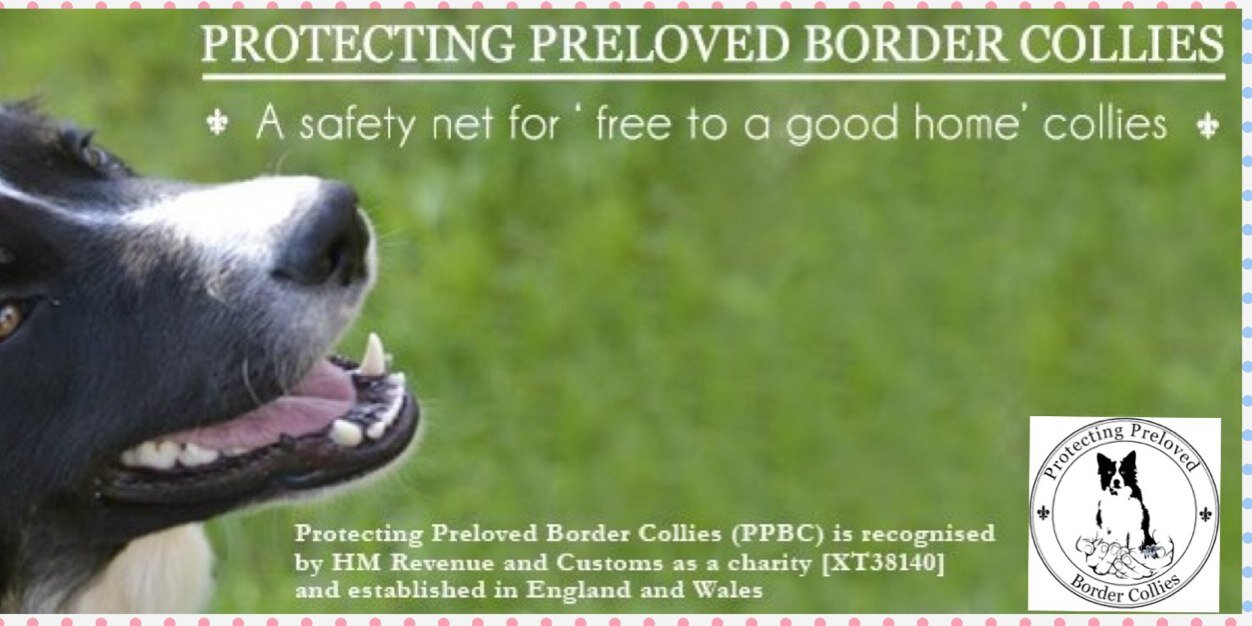 PPBCUK's profile banner image