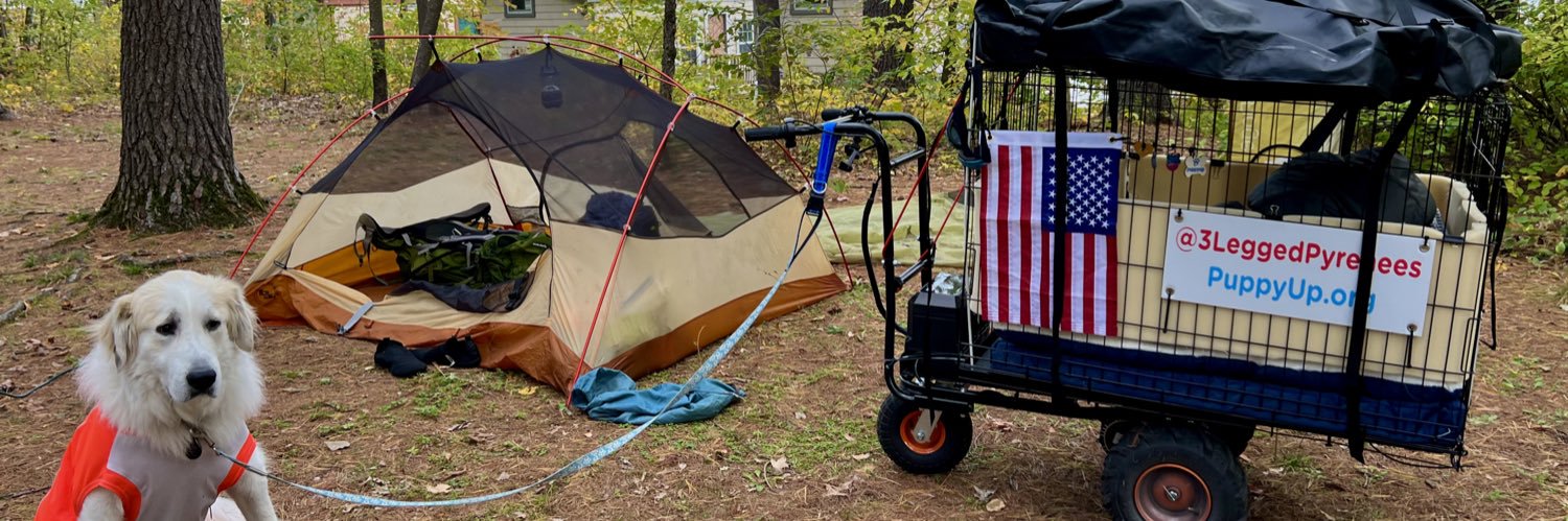 Luke Robinson, Yer Big Dog banner