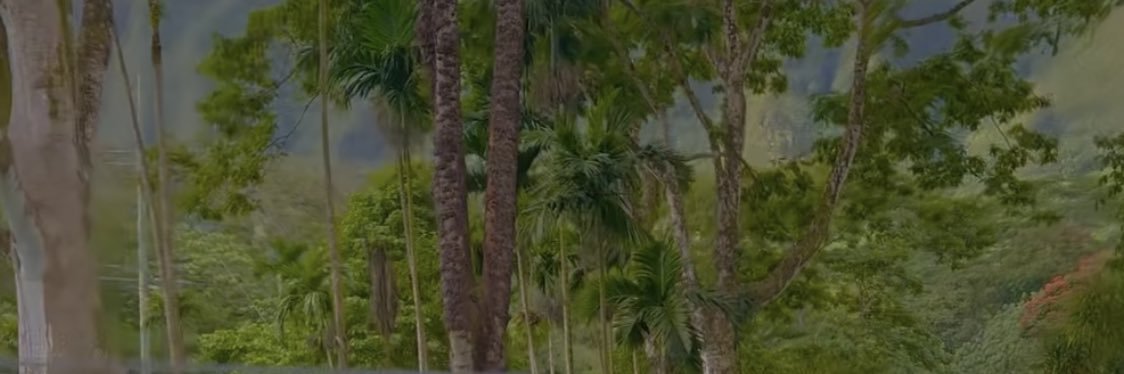SherB_____'s profile banner image