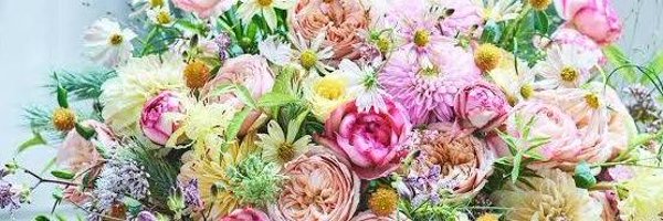 kami91dayo Profile Banner