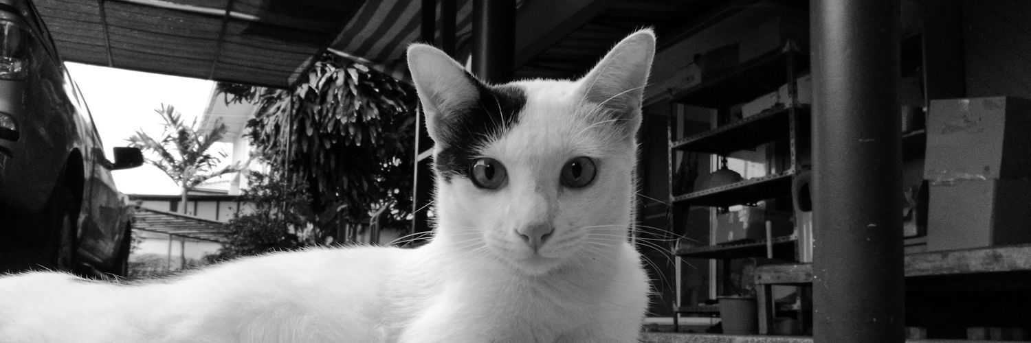 พี่ด้นชัย banner