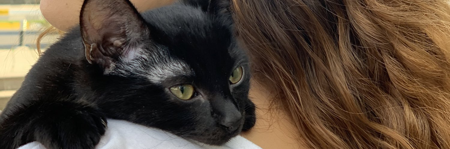lteeeb's profile banner image