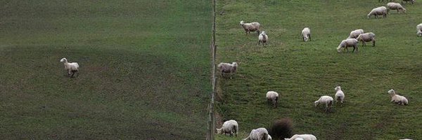 yuuiichive Profile Banner